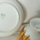 Limoges porcelain broth on his plate