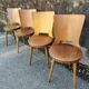 Suite of 4 vintage chairs Baumann model "Dove" 50s