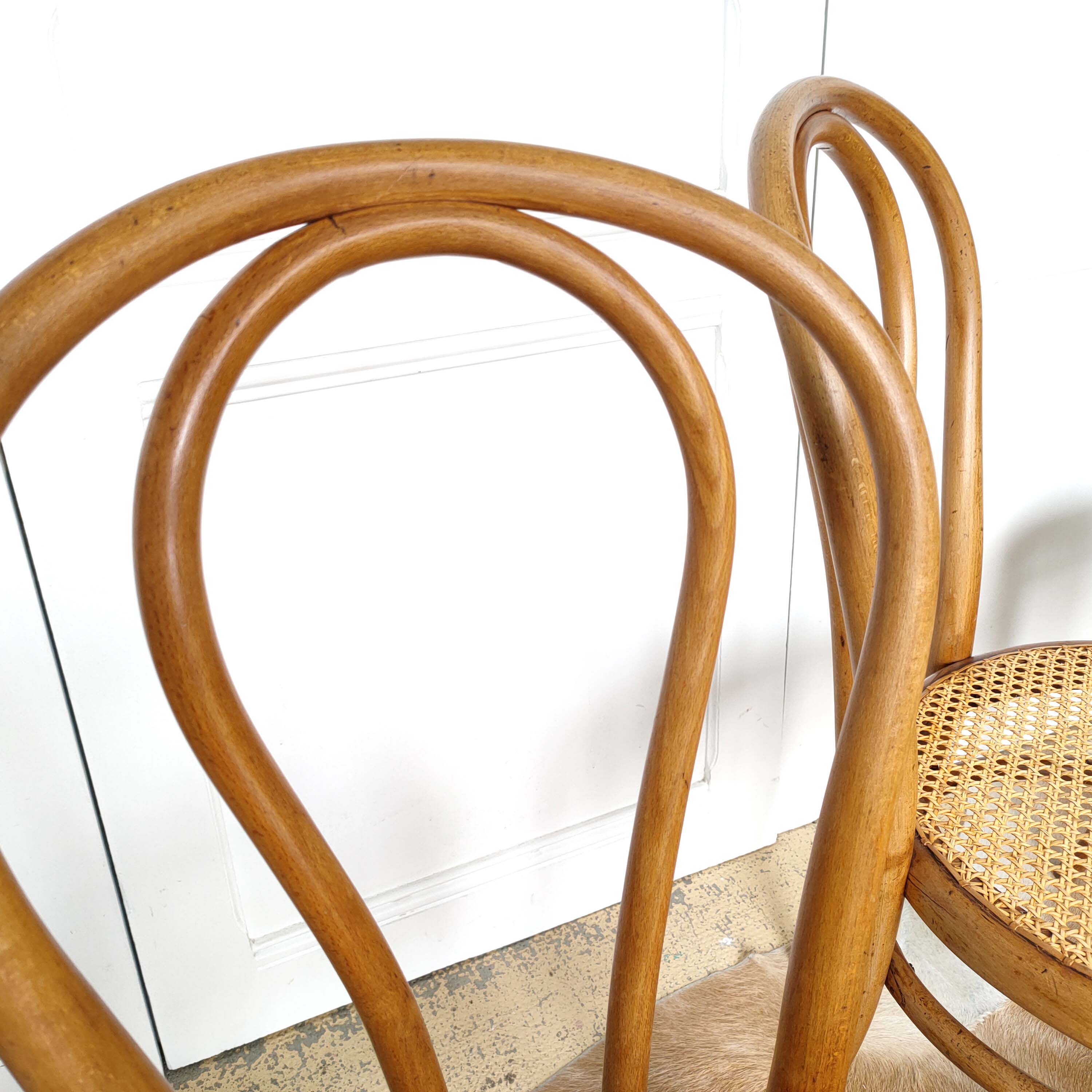 Set of four wooden chairs - canning Thonet