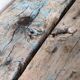 Established old wood
