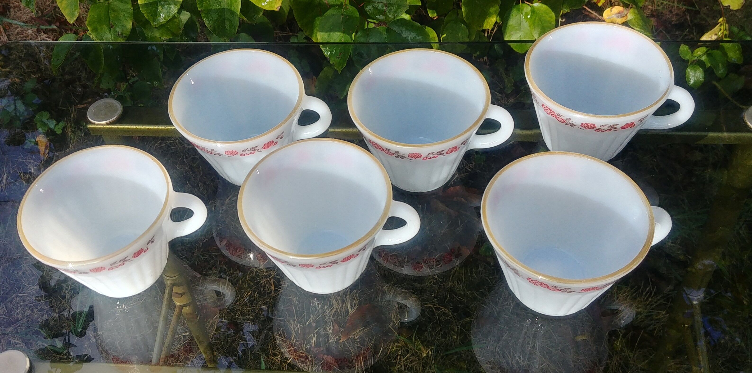 Set of 6 cups vintage Termocrisa Mexico in opaline, 60s