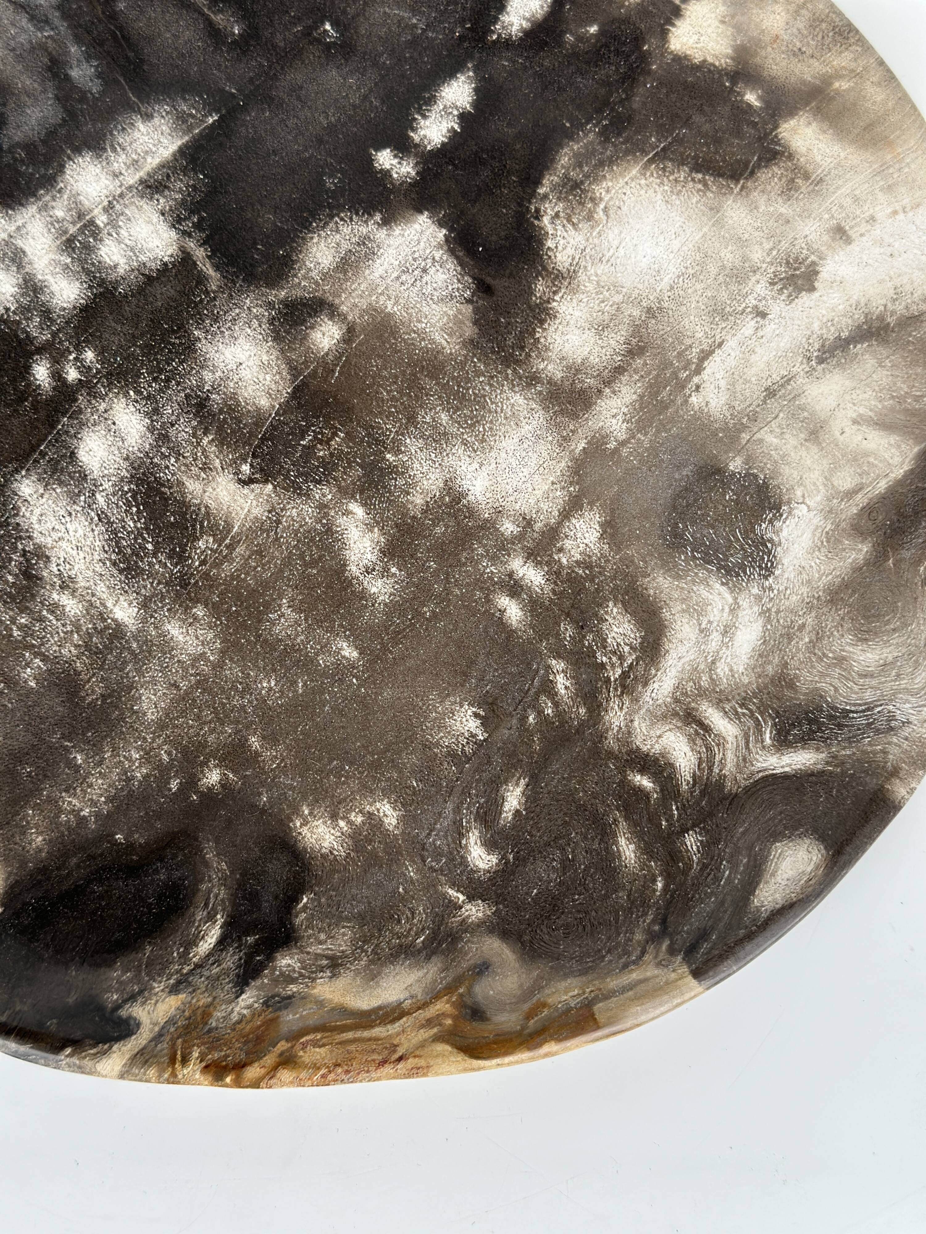 Dish in petrified wood