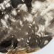 Dish in petrified wood