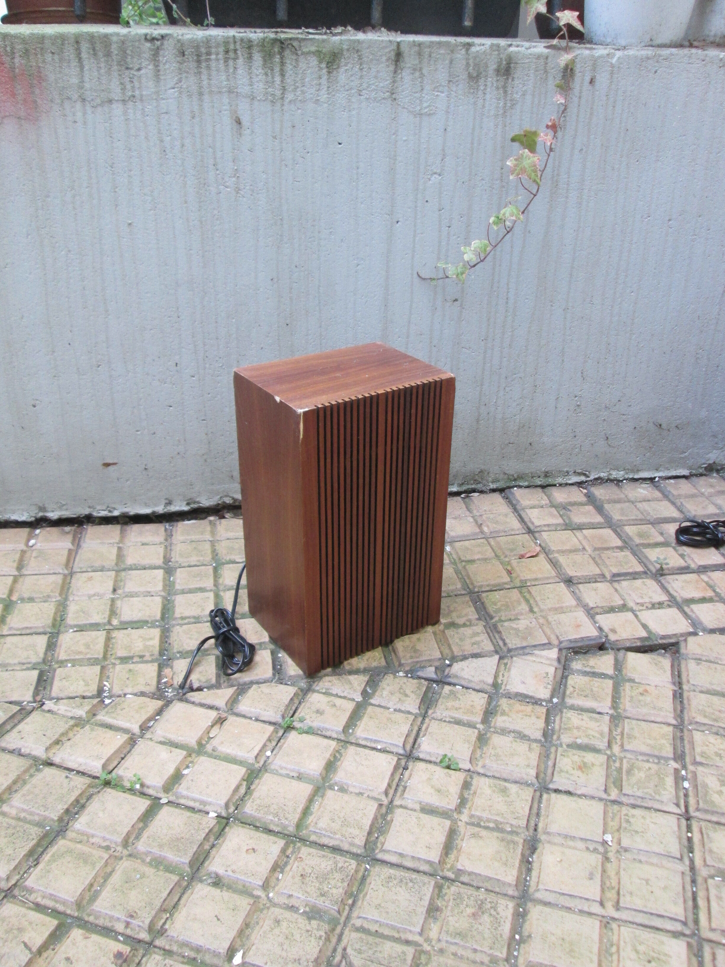 Pregnant pair Italian wood