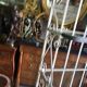 Etagere boulangere ancienne en fer forge a 5 niveaux