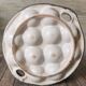 6 glazed ceramic snail plates