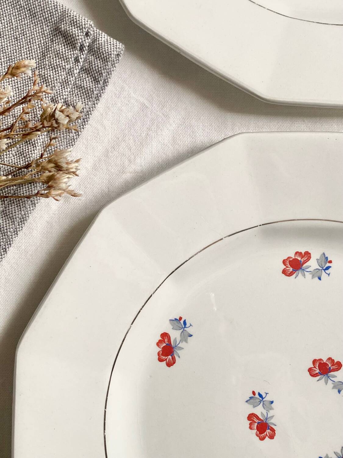 Dinner plates