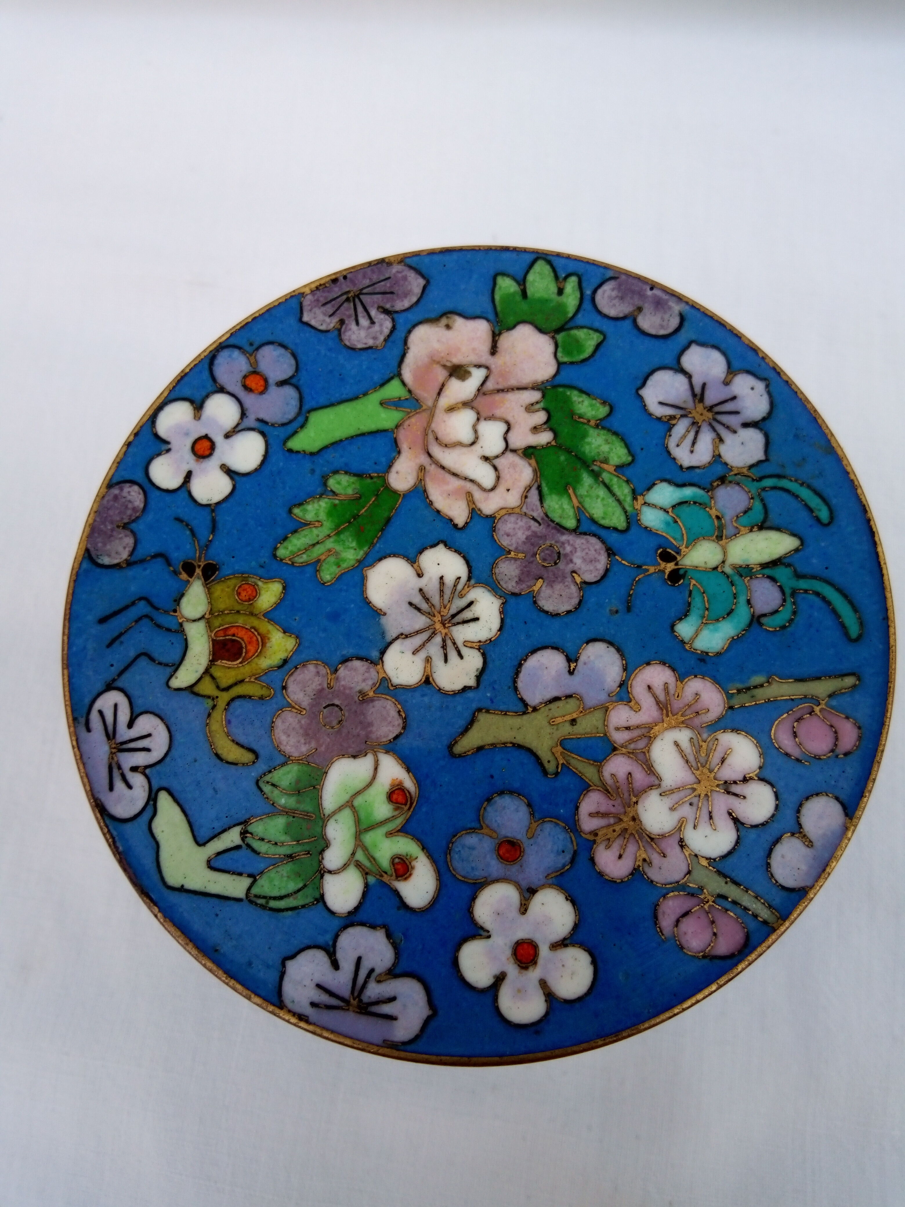 Box in partitioned enamels, china late 19th century