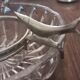 Serving dish in crystal for caviar