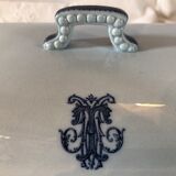 Blue vegetable in iron Earth