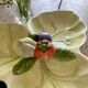 Ceramic vegetable dish