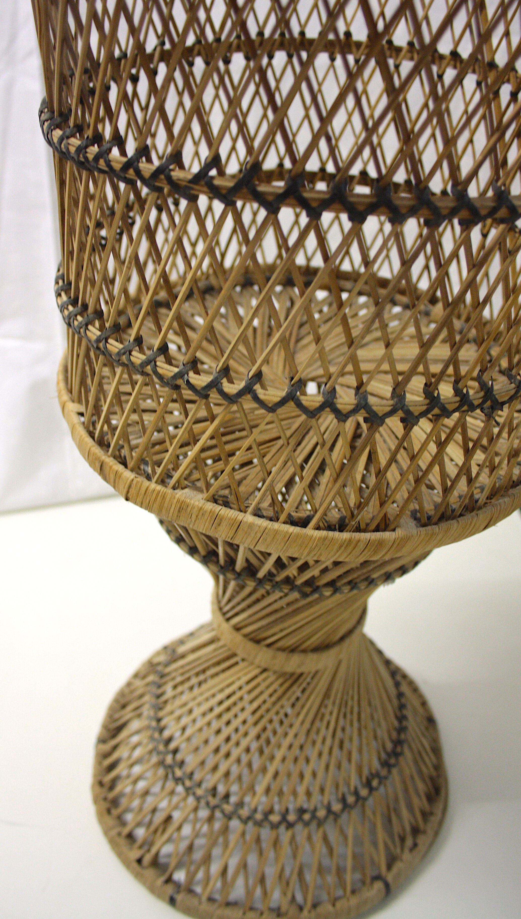 Door diabolo rattan plant