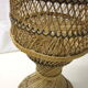 Door diabolo rattan plant