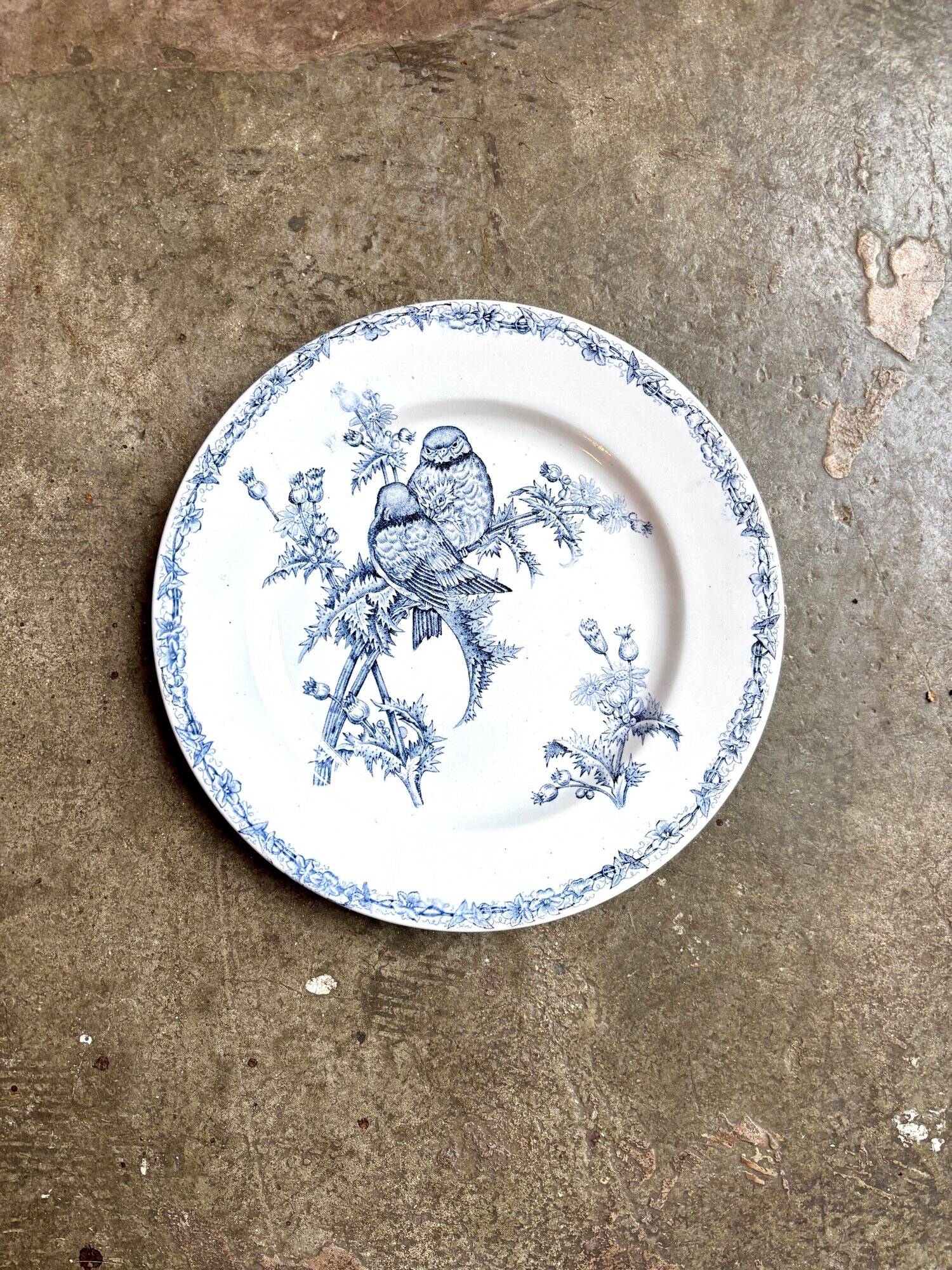 Clairefontaine plate dish - Léon Graves in ironstone, "Chardonnerets" service from the late 19th century.