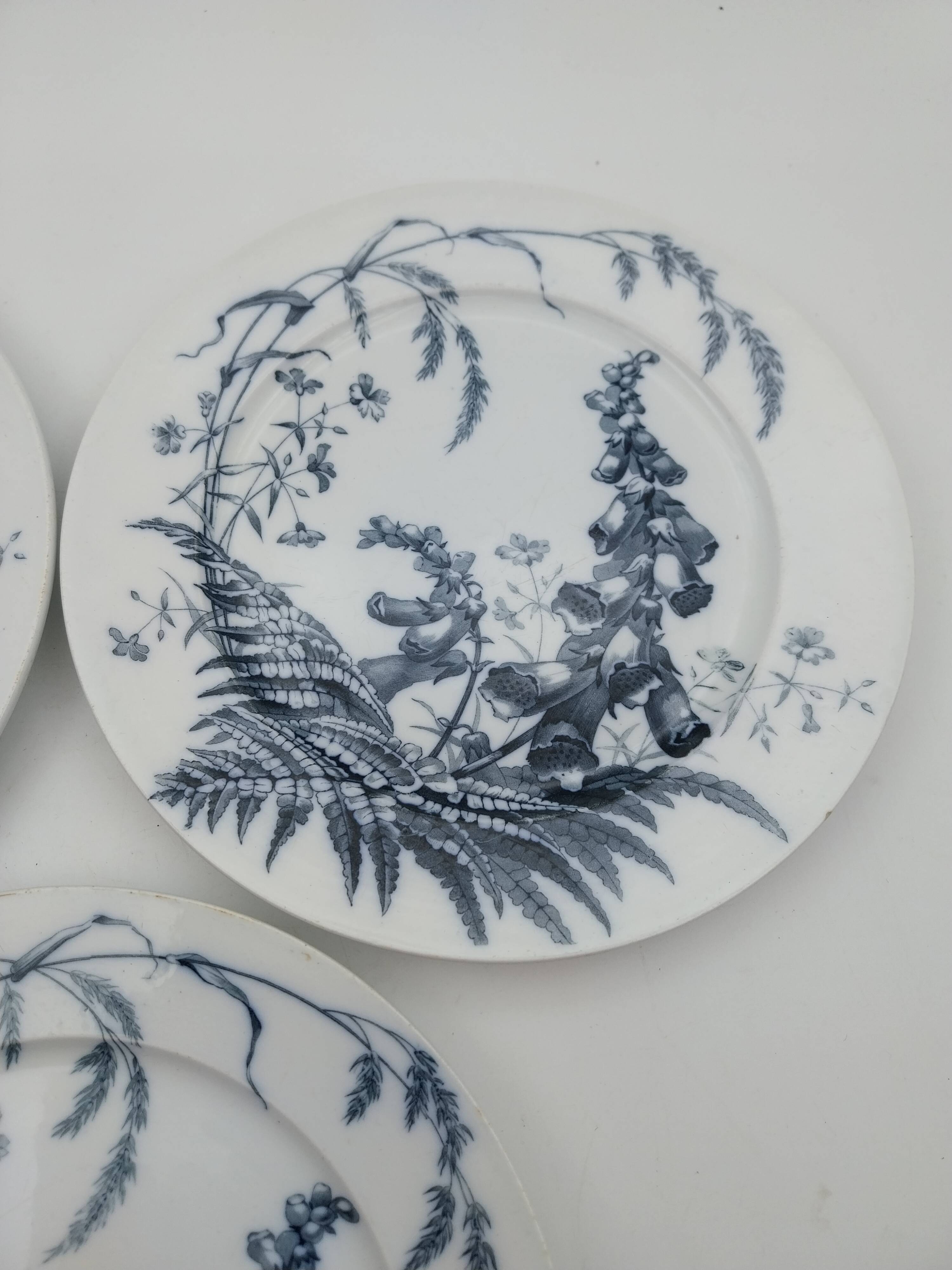 3 Brown Westhead Moore field flowers dinner plates