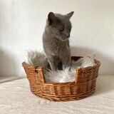 Woven wicker cat basket