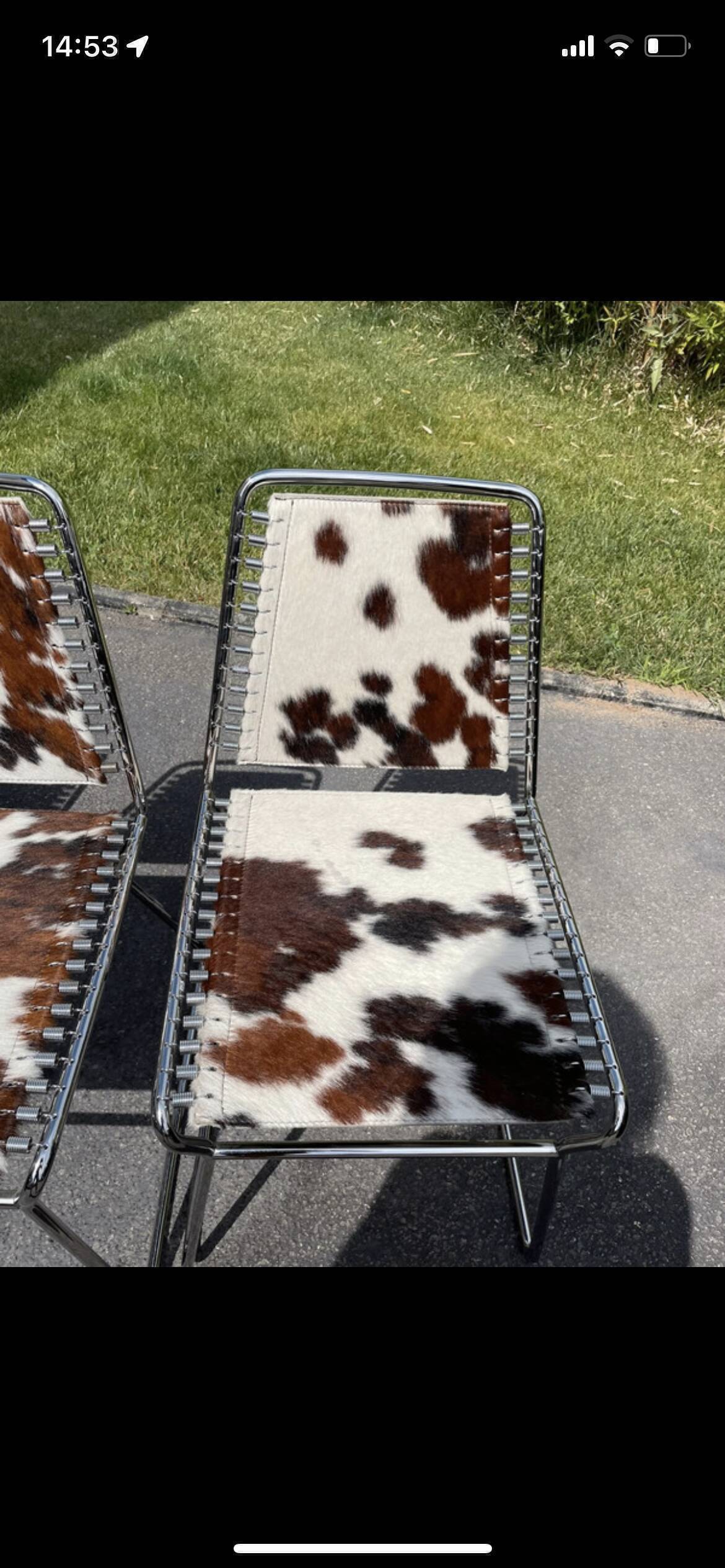 Cowhide chairs