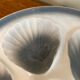 Assiettes coquillage