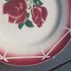 Flat plates digoin sarreguemines model cibon