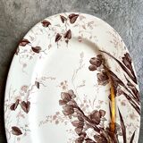 Oval plate in Creil & Montereau iron, "Gladiolus" service