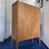Scandinavian vintage library storage cabinet