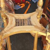 Golden louis xvi harness