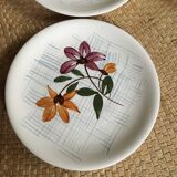 Series of 10 dessert plates