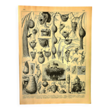 Antique engraving 1897 A. Millot - Nest, Birds' nest and other animals