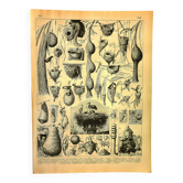 Gravure ancienne 1897 A. Millot - Nid, Nid d'oiseaux et autres animaux