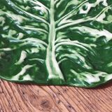 Large Cabbage Leaf Slush Dish