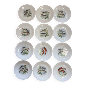 assiettes à poisson - porcelaine