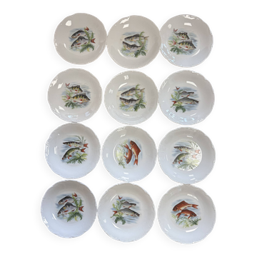 Assiettes à poisson en porcelaine