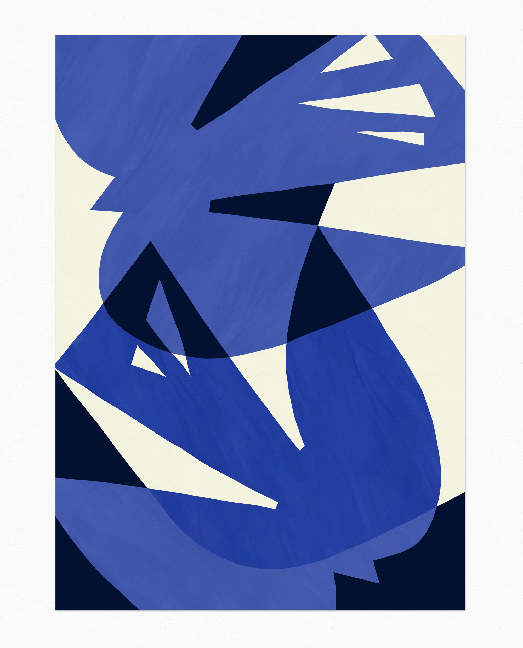 Affiche d'art oiseaux bleus 50 x 70 cm