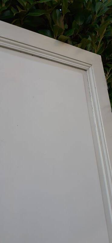 Pair of old cupboard doors h220.5xL75cm each
