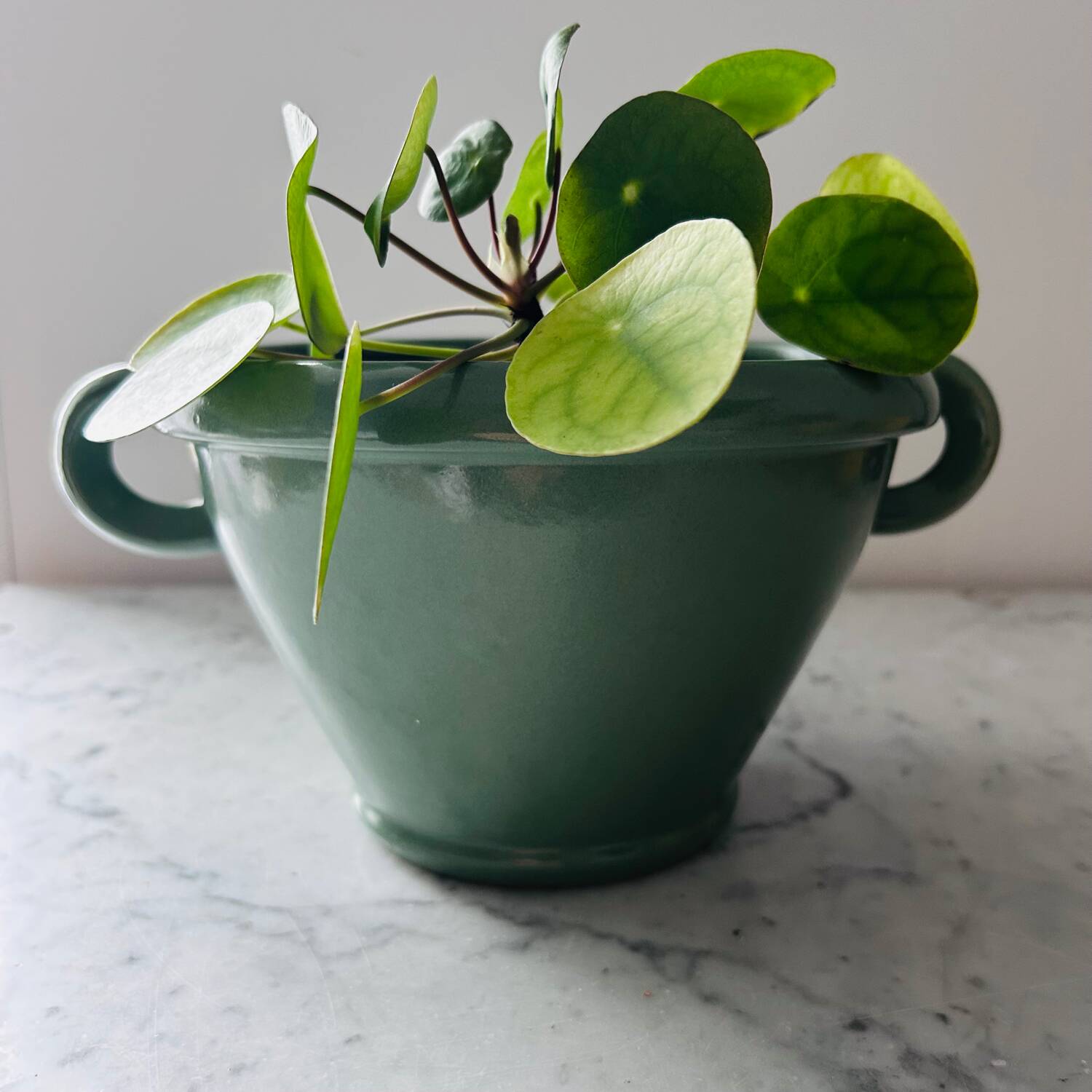 Celadon Scandinavian cache pot