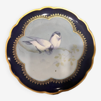 MZ Austria plates with bird decor