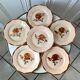 Set of 6 flat plates Digoin Sarreguemines pink flowers years 30-40