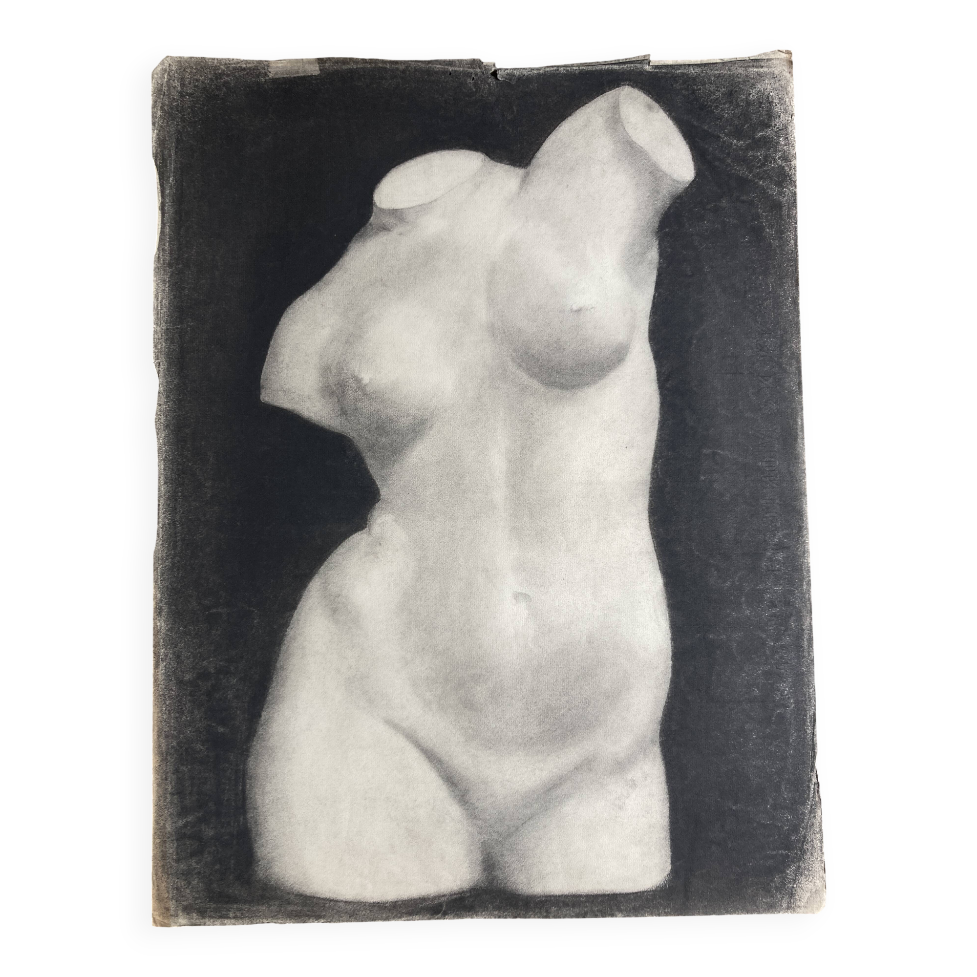 Neoclassical bust of Diana, academic charcoal drawing from the studio, 1925