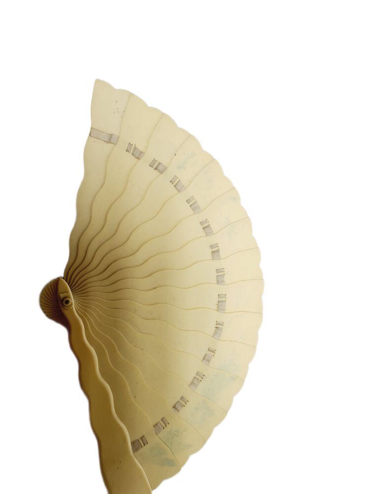 Austro-Hungarian Art Nouveau celluloid fan, 1900s