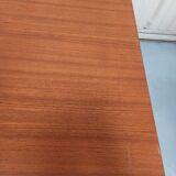 Scandinavian style table 50 year with 2 elongations