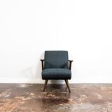 Mid-Century Armchair "300-110" by GFM, Poland, 1960s