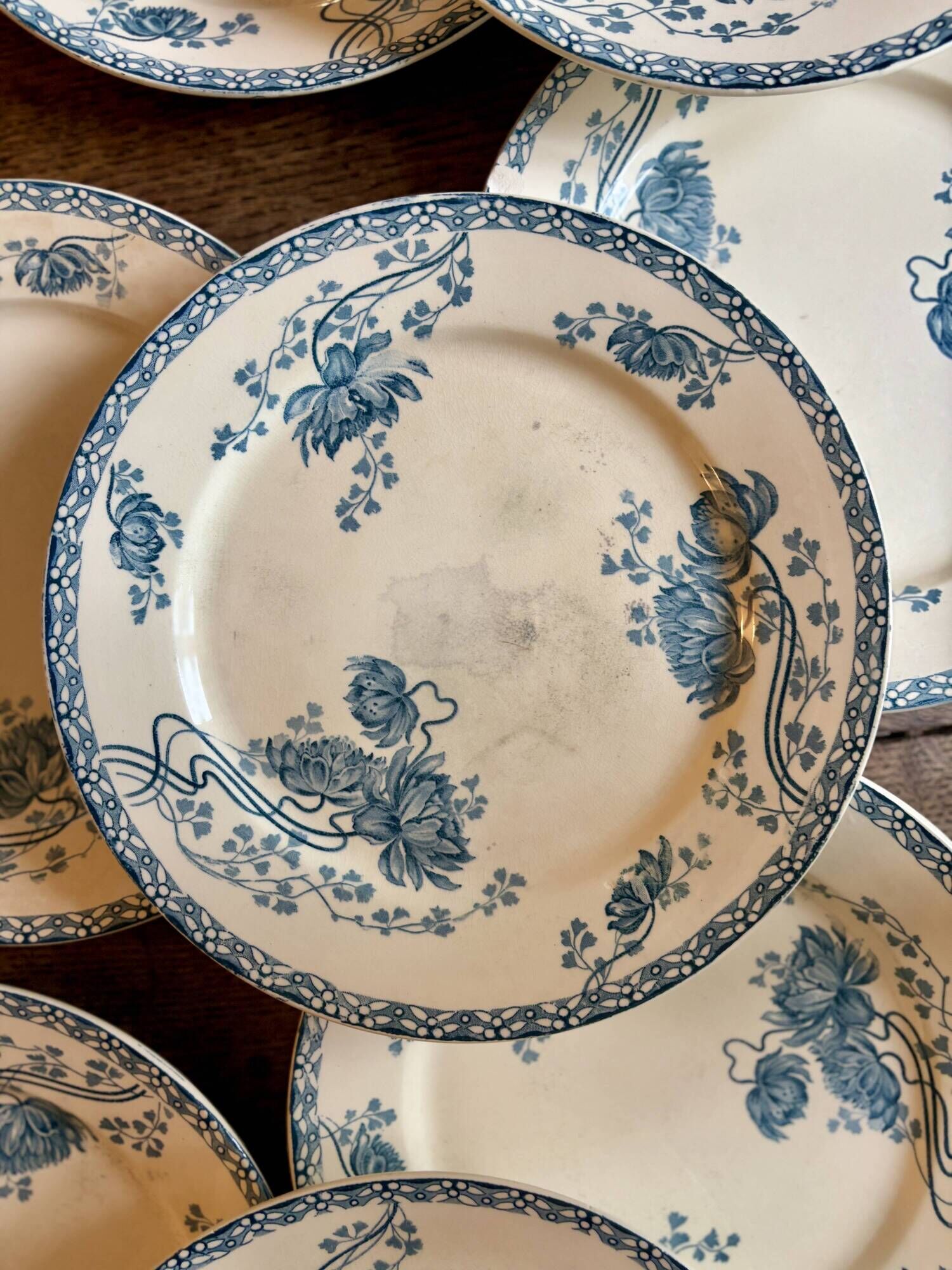 Set of 10 antique flat plates in ironstone, Royat from Sarreguemines.