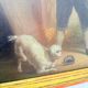 Tableau , huile sur toile - Catherine Mélanie Miller, Garçon avec chat