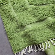 Contemporary Green Carpet - 316 x 242 cm