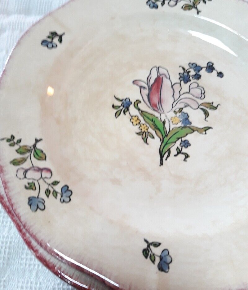 Set of 13 plates Gien earthenware 25cm