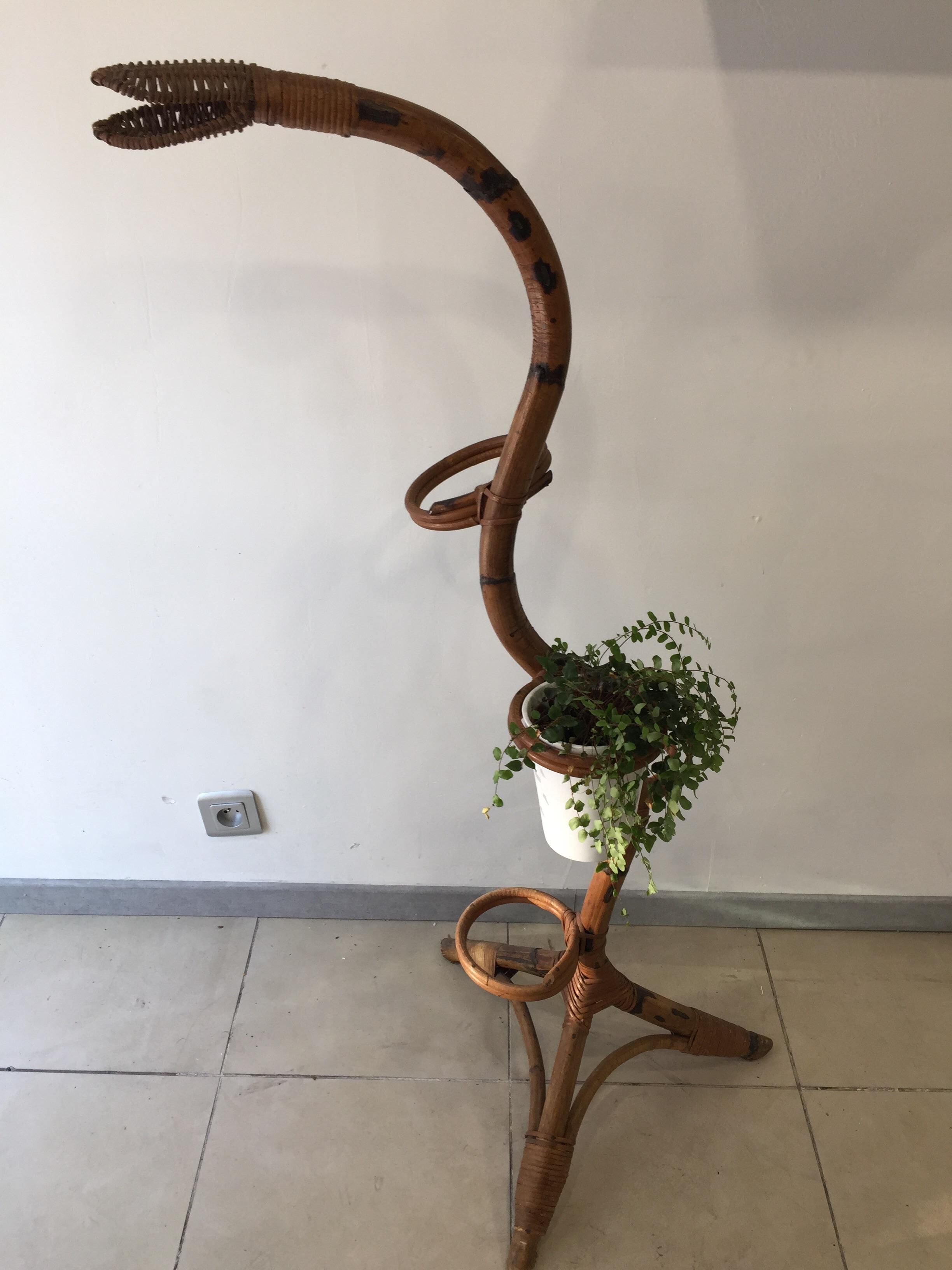 Support for plants