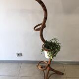 Support for plants