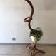Support for plants