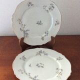 Anciennes assiettes porcelaine mousseline theodore haviland