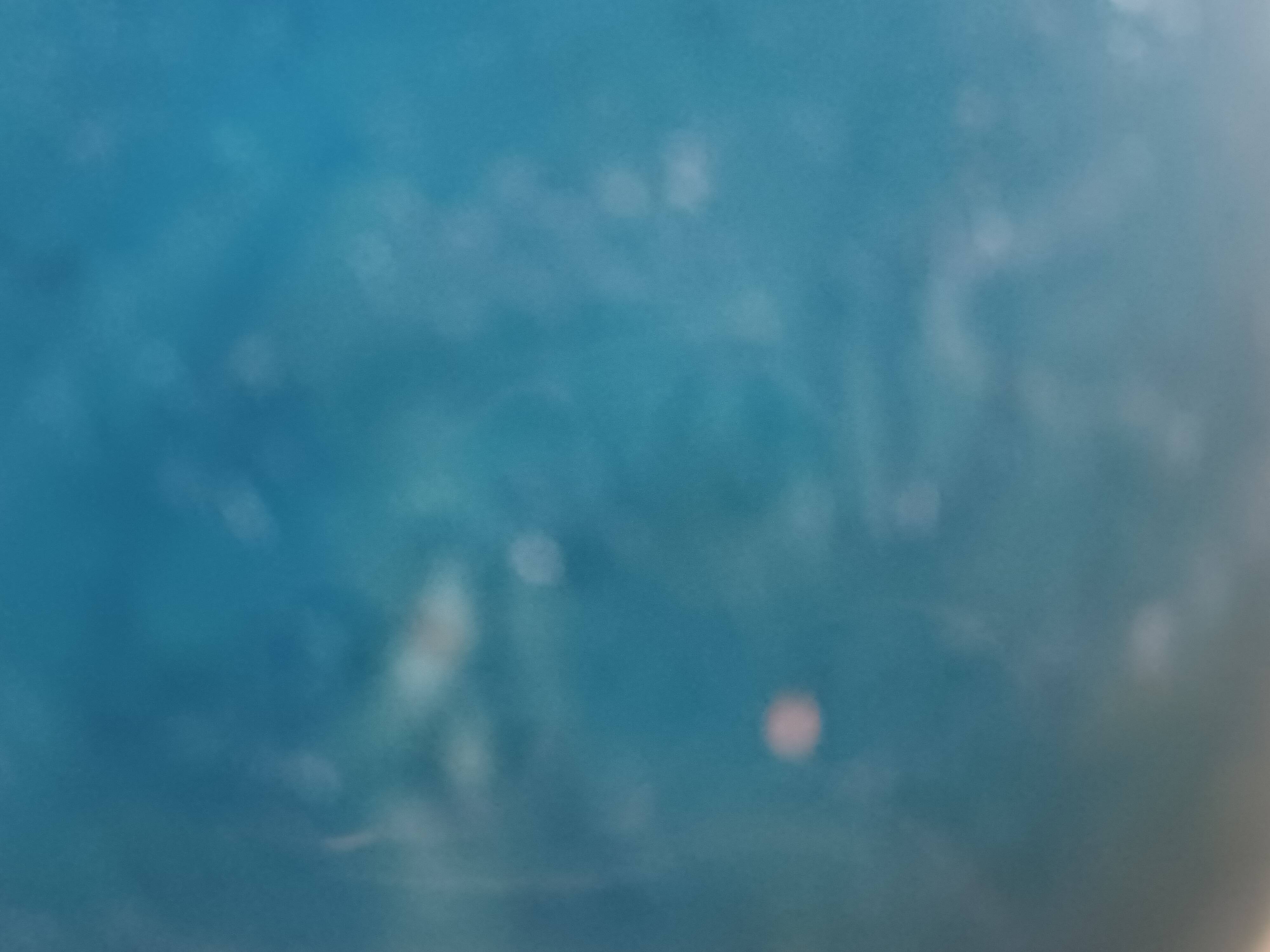 Denbac coffee service